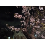 みなぎるp（みっくん）