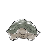 ササモト
