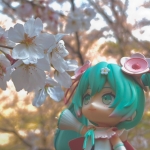 ku