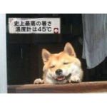 おっさんオブジョイトイ