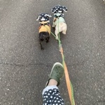 アイコン