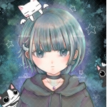 上地式（C@T C-）