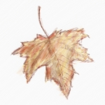 せとうちまつり