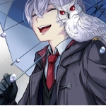 猫夜叉@CatYaSha11