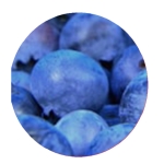 テンバガー１２３