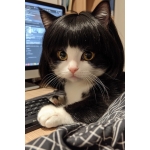 userPhoto
