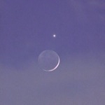 永遠のゲスト（仮）