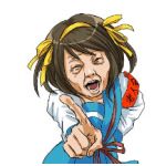 ダニ除けスプレーг∝