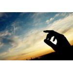 にゃんわんピヨ