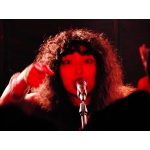 ベニスズメタファー