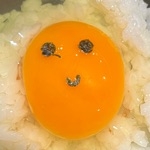 衝撃