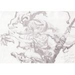 ハールナッツ秋冬