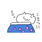 芥川 京 【宝石動画】