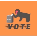 プロトラの選挙分析チャンネル