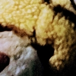 ゆっちゃんこうちゃん