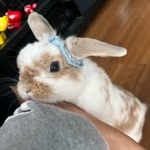 害悪リスナーぱき