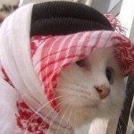 Mr.Noon