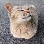 アトミックおじさん