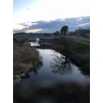 てふてふらーめん