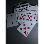 ていし（旧アレスト）