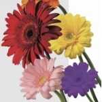 植草一秀の知られざる真実