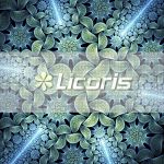 Licoris