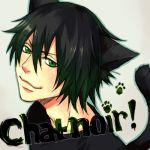 chatnoir