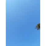 長戸カトラリー