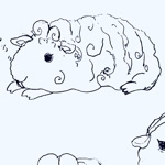 妖怪ネキ（人間になりたい）