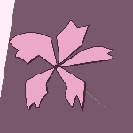 シャンプードル