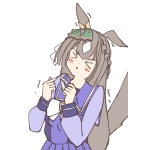 ぽんたのけだま