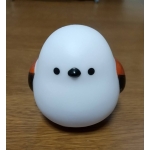 ミクロ観察日記