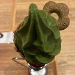 みよっち！
