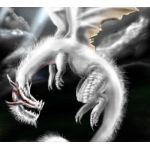 (*´ω｀*)かっぱらぱー