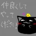 黒猫