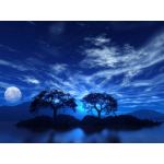 町田ウーバー（キンダーガルテン）