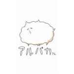 みっとぅん＠不安定ながらけ同盟