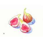 えむえむっ Op Help Hell Side 美緒様と一緒に歌ってみた ニコニコ動画