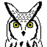 夜鳥owl