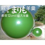 まりもヨーカン