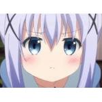 アンゴラうさぎ