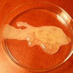 俺！45みん★ドピュッ