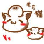 もち猫