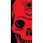 ☆ｸﾞﾗたん★