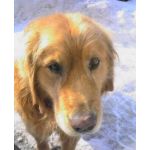 ダウトだからーっ！