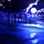 月夜鴉（つきよがらす）