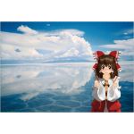 ホモガキと化したこけ