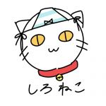 しろねこ。