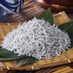 シロナガスクジラ