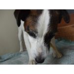 倉庫の金子の後輩